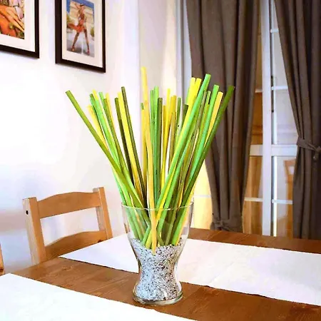 Apartment Great Location In Old Town Malaga